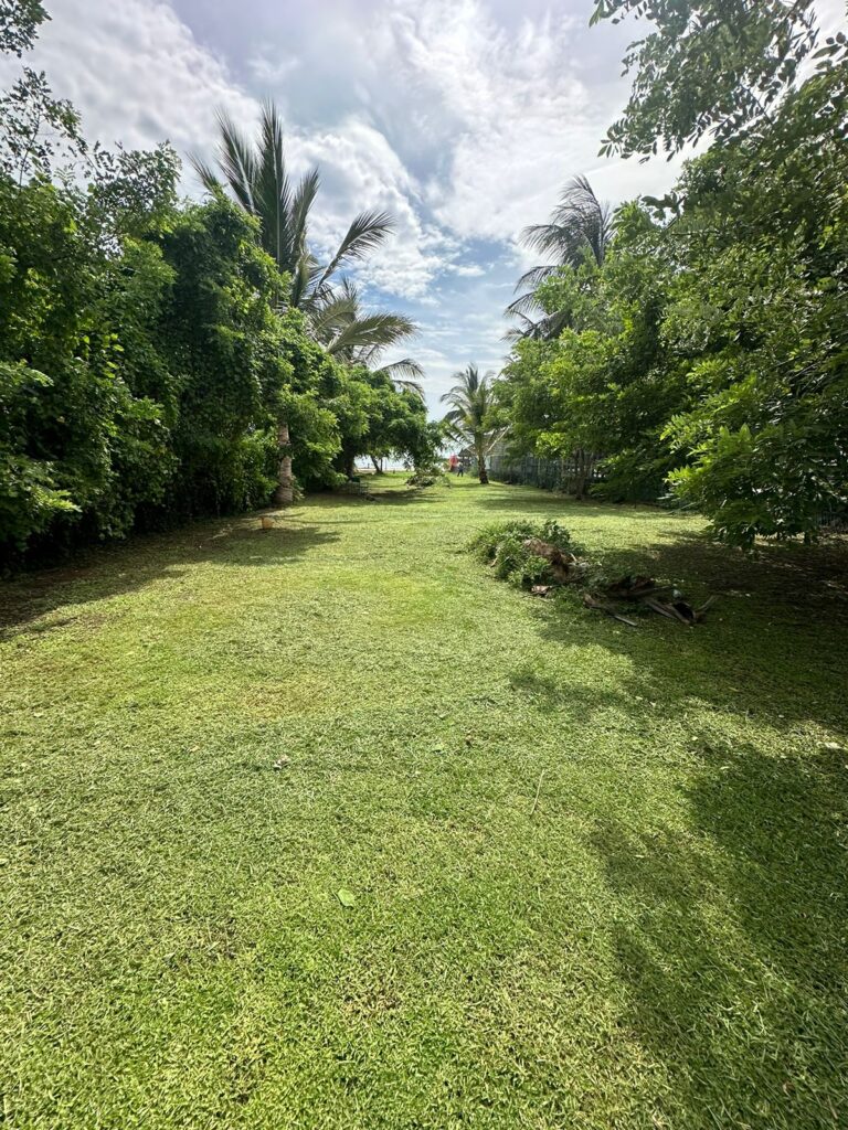LOTE EL ROJO, FOR SALE PLAYA MATANCHEN – photo 2