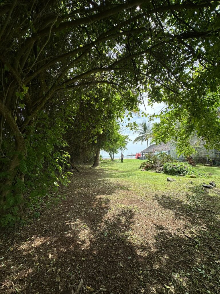 LOTE EL ROJO, FOR SALE PLAYA MATANCHEN – photo 4