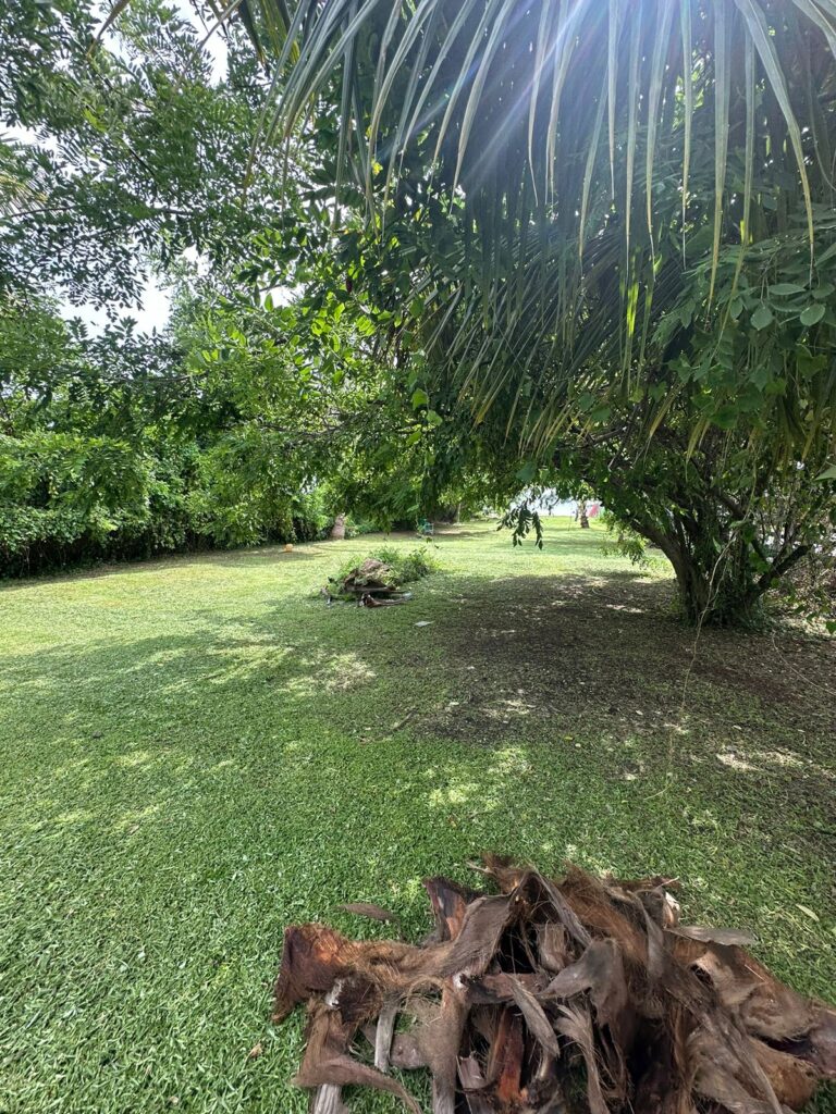 LOTE EL ROJO, FOR SALE PLAYA MATANCHEN – photo 5