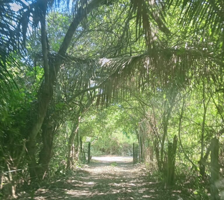 RANCHO PARAISO – photo 19