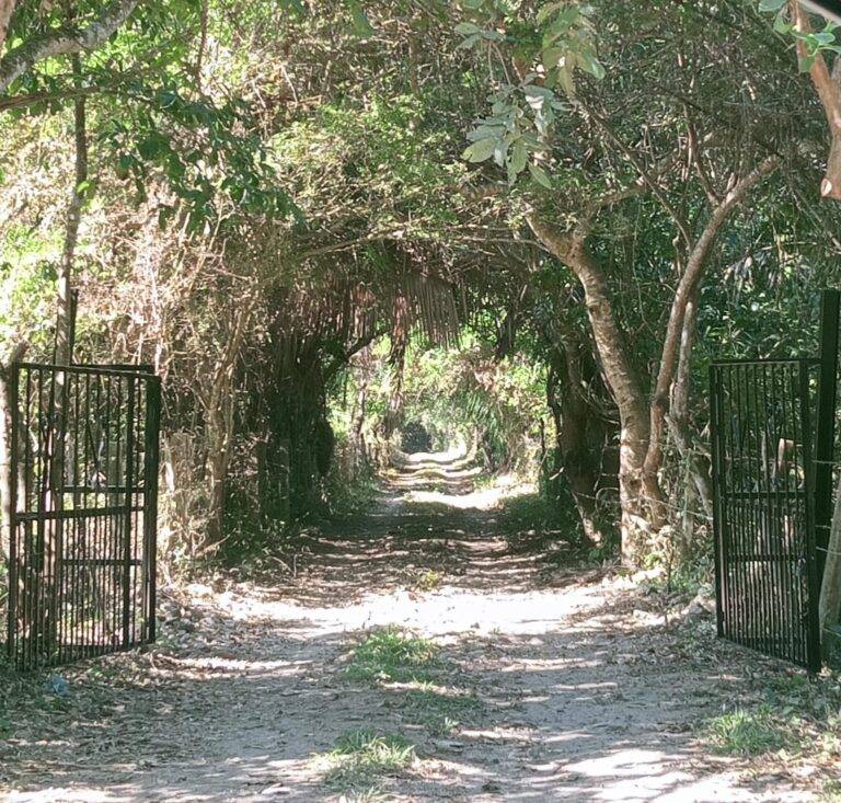 RANCHO PARAISO – photo 20