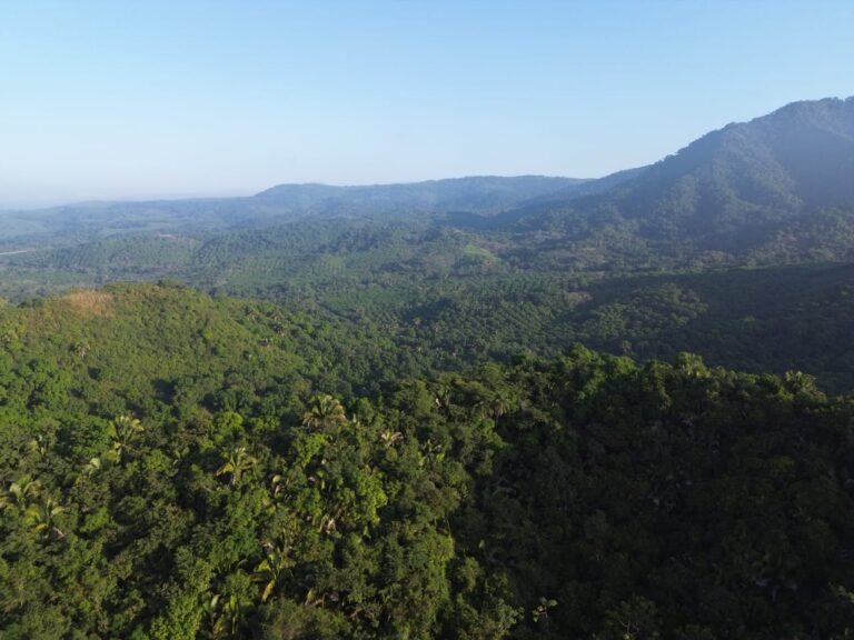 PARCELA SANTIAGO FOR SALE, MATANCHEN BAY – photo 3