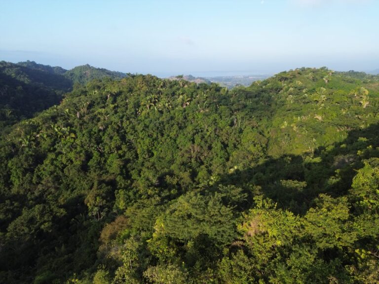 PARCELA SANTIAGO FOR SALE, MATANCHEN BAY – photo 4