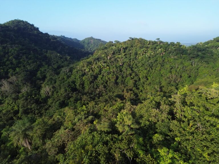 PARCELA SANTIAGO FOR SALE, MATANCHEN BAY – photo 5
