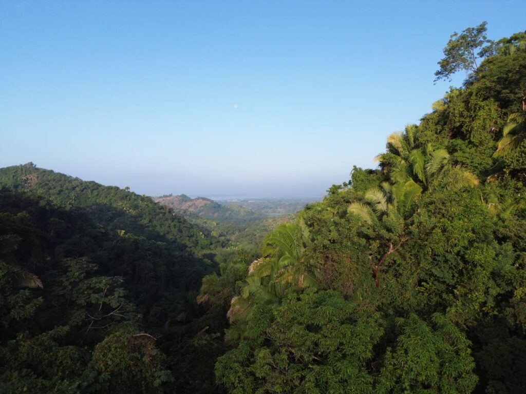 PARCELA SANTIAGO FOR SALE, MATANCHEN BAY – photo 1