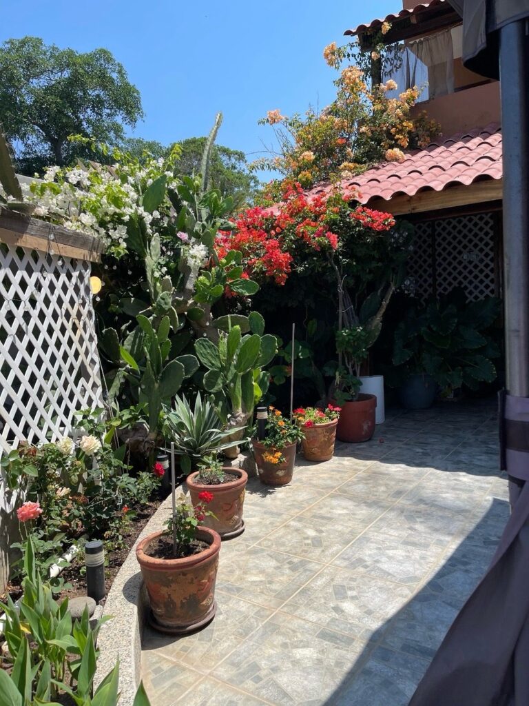 CASA LIBELULA PLAYA LOS COCOS – photo 16