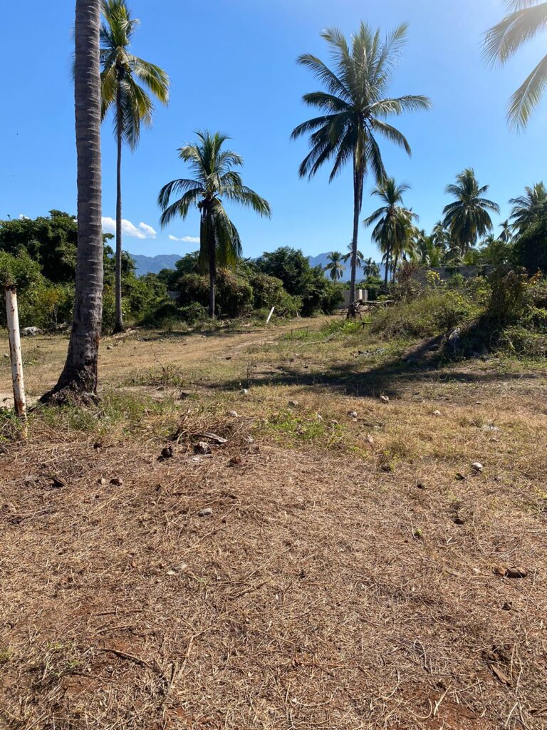 LOTE MATANCHEN #1 – photo 2
