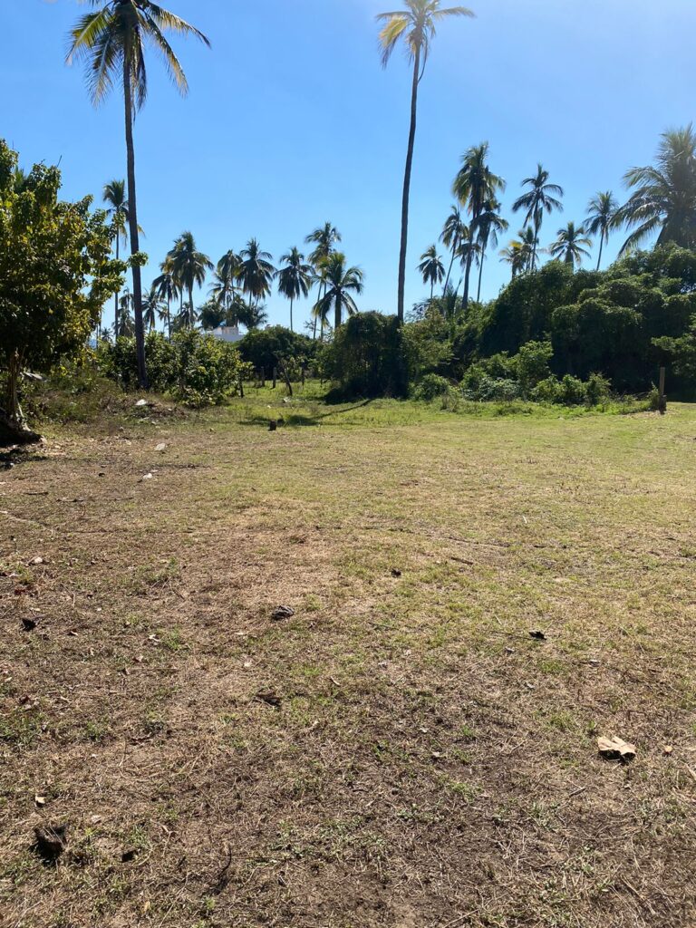 LOTE MATANCHEN #2 – photo 2
