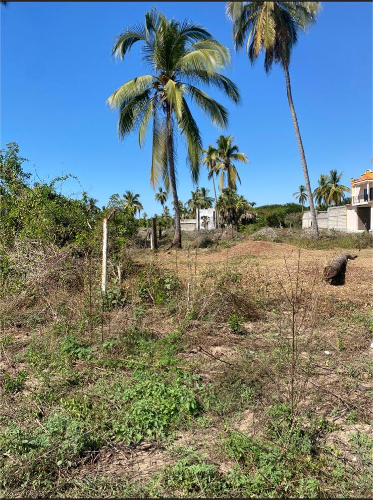LOTE MATANCHEN #1 – photo 4