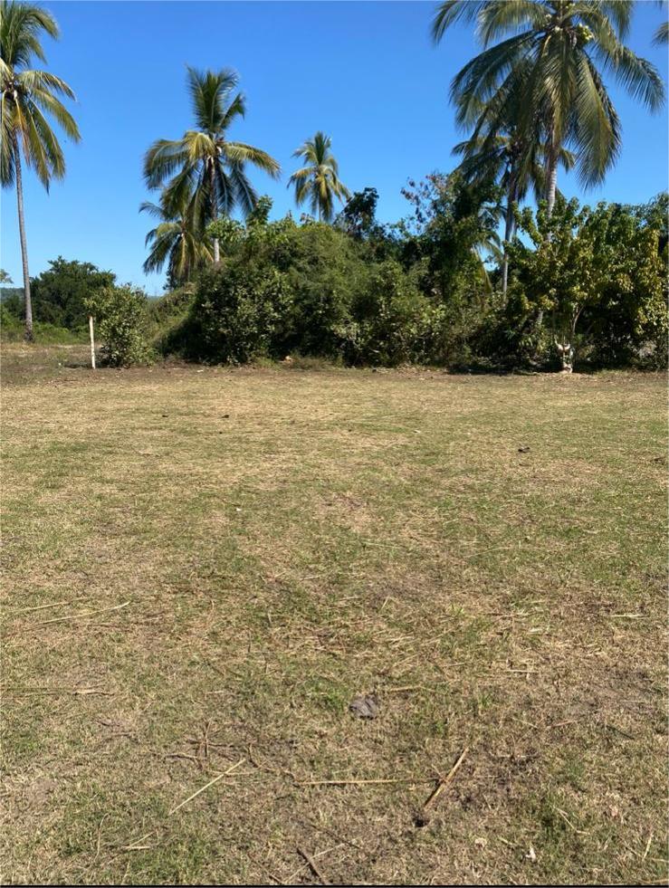 LOTE MATANCHEN #1 – photo 5