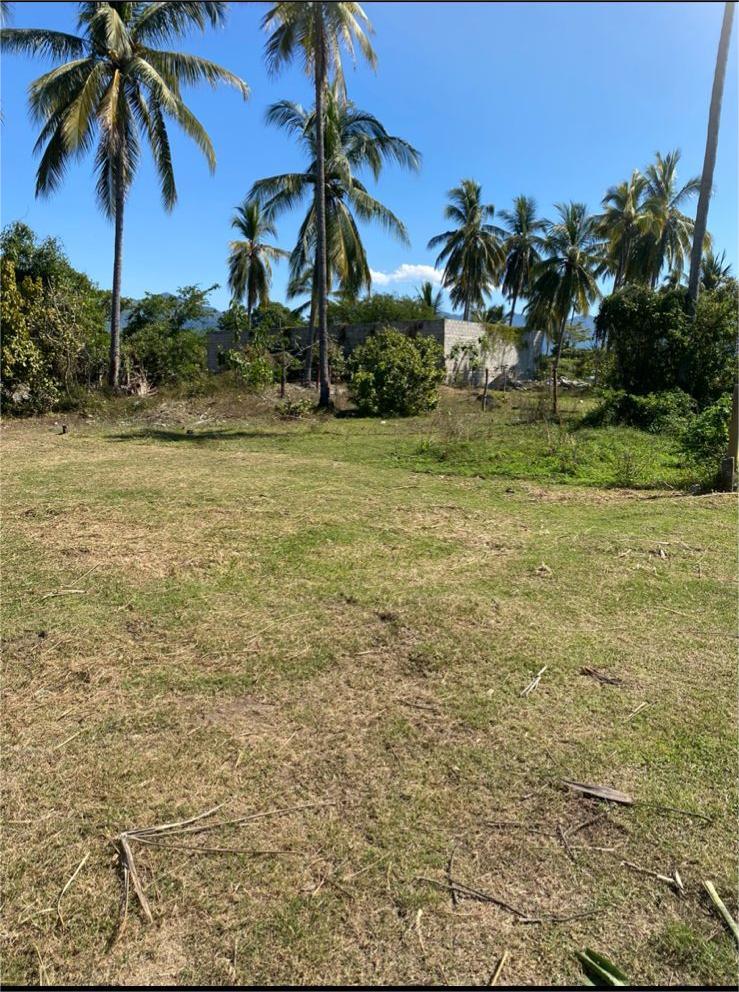 LOTE MATANCHEN #1 – photo 7