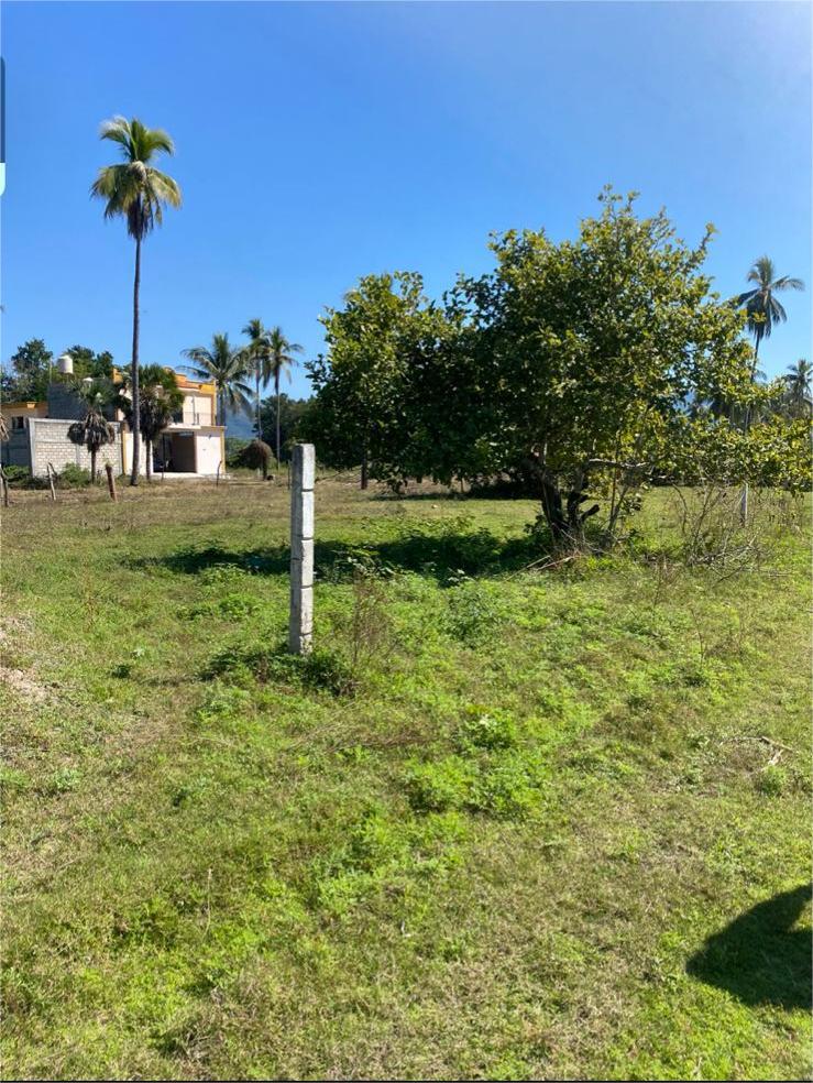 LOTE MATANCHEN #1 – photo 6