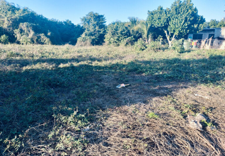 LOTE HUERTA LA MANZANILLA – photo 2