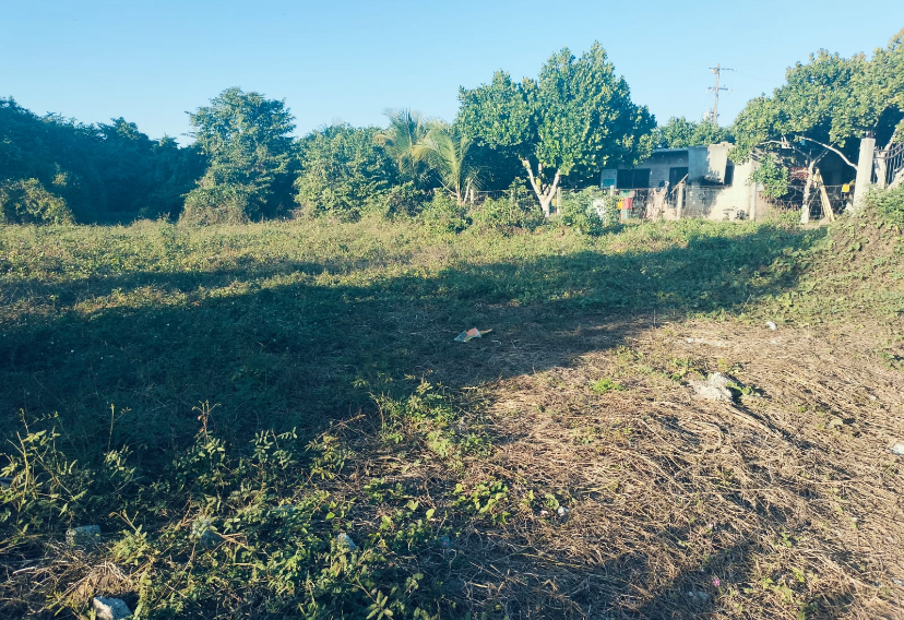 LOTE HUERTA LA MANZANILLA – photo 1