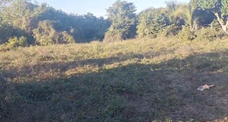 LOTE HUERTA LA MANZANILLA – photo 3
