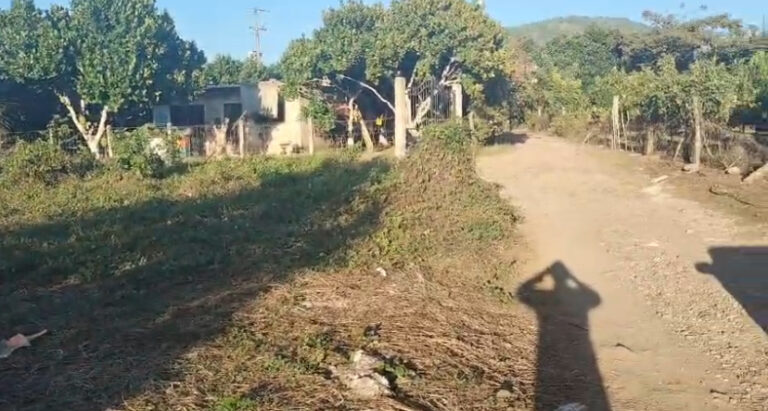 LOTE HUERTA LA MANZANILLA – photo 4