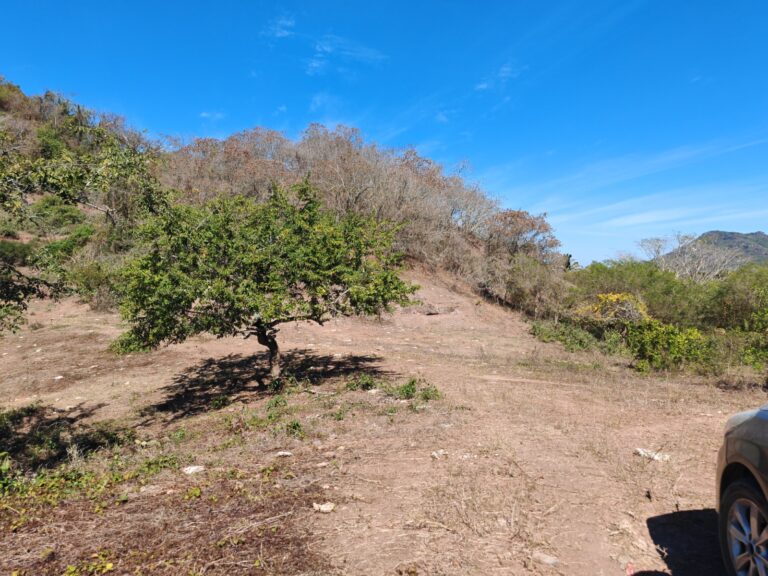 RANCHO SANDOVAL, LO DE MARCOS – photo 5
