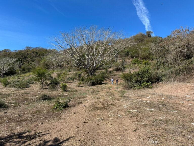 RANCHO SANDOVAL, LO DE MARCOS – photo 3