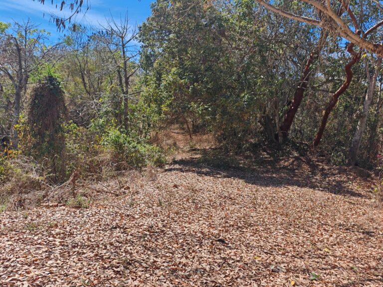 RANCHO SANDOVAL, LO DE MARCOS – photo 11