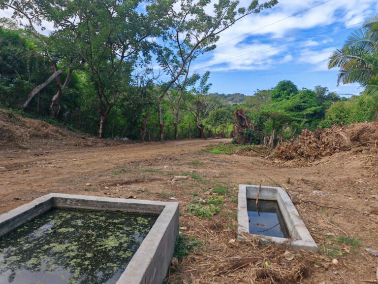 LOTE LINARES – photo 6