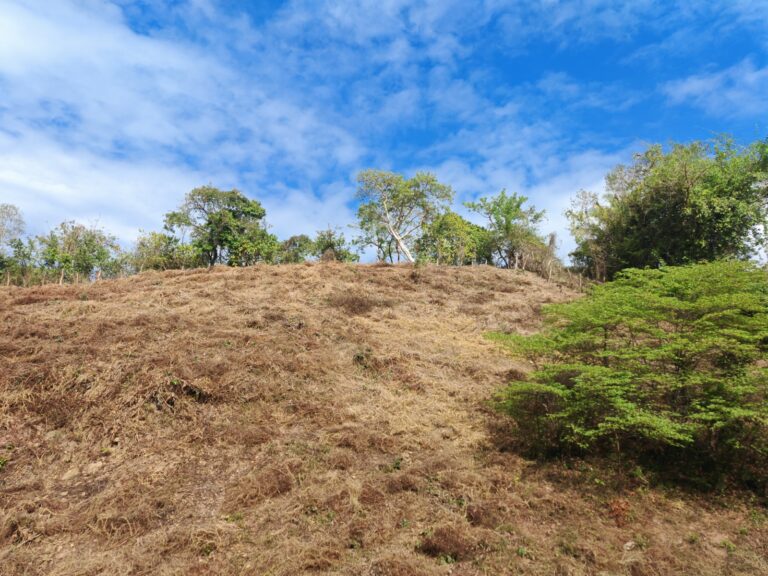 LOTE LINARES – photo 3
