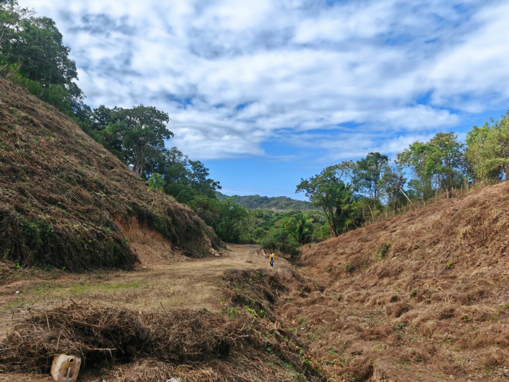 LOTE LINARES – photo 1