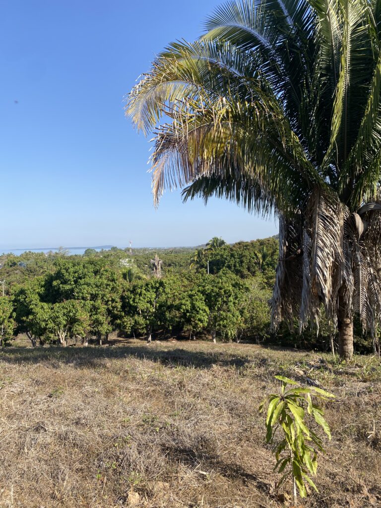 LOT VISTA ESPECTACULAR – photo 4