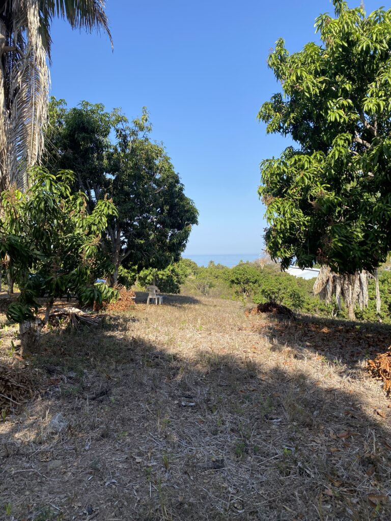 LOT VISTA ESPECTACULAR – photo 2