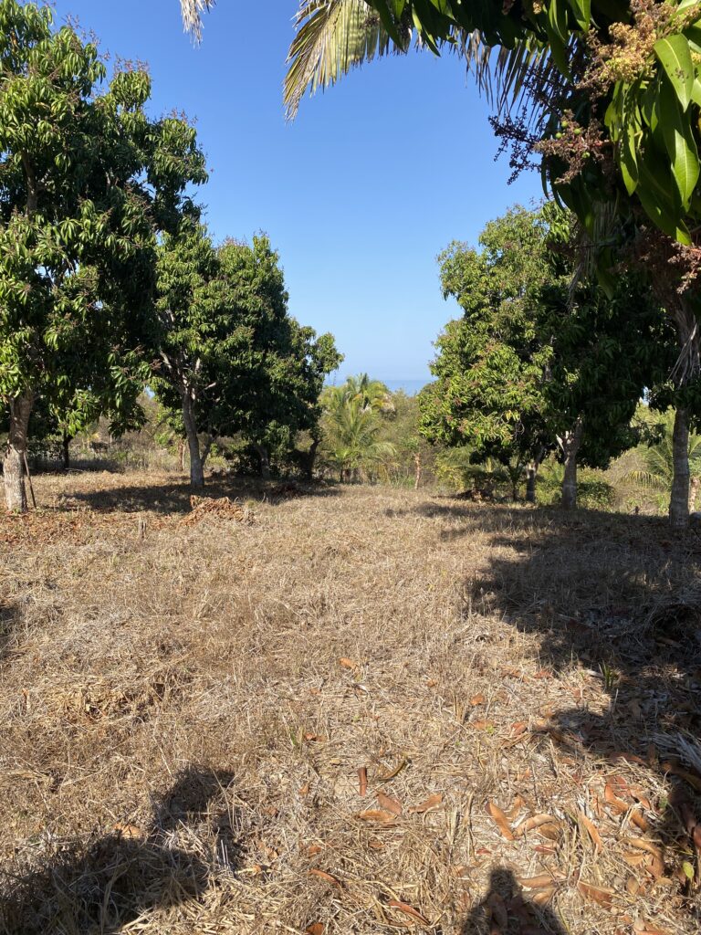 LOT VISTA ESPECTACULAR – photo 3