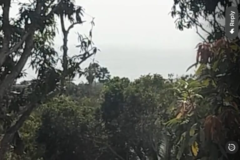 PACELA VISTA LAS BRISAS – photo 6