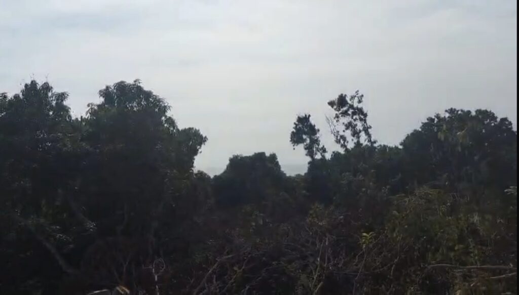 PACELA VISTA LAS BRISAS – photo 1