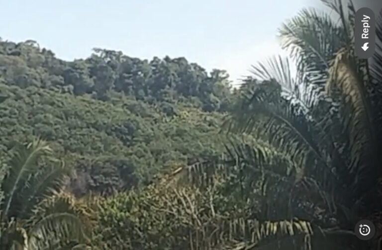 PACELA VISTA LAS BRISAS – photo 2