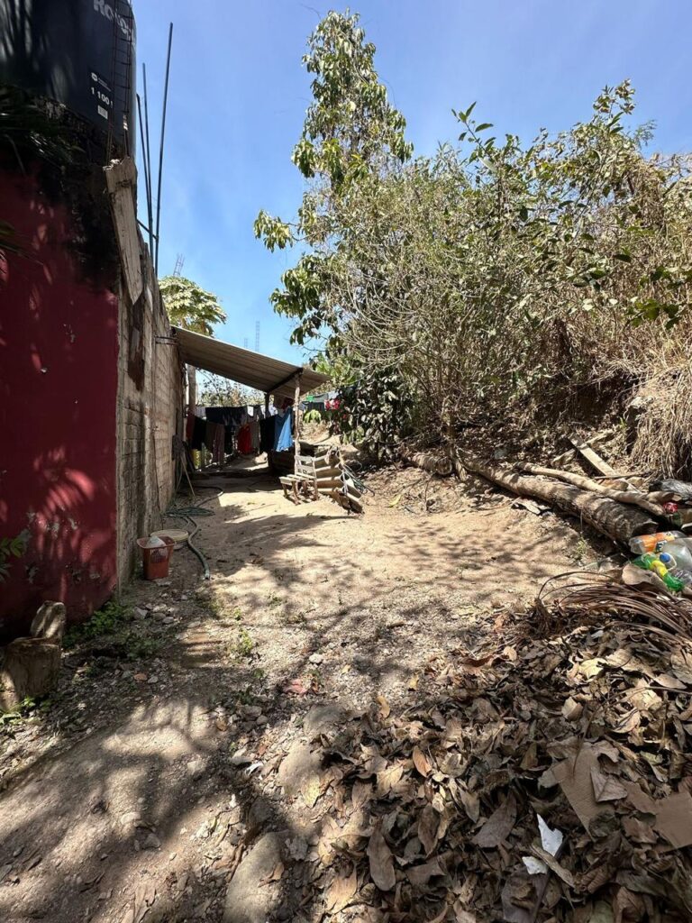 CASA DE LOS ARBOLES – photo 5