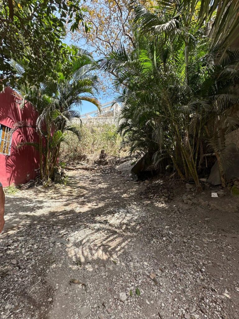 CASA DE LOS ARBOLES – photo 2