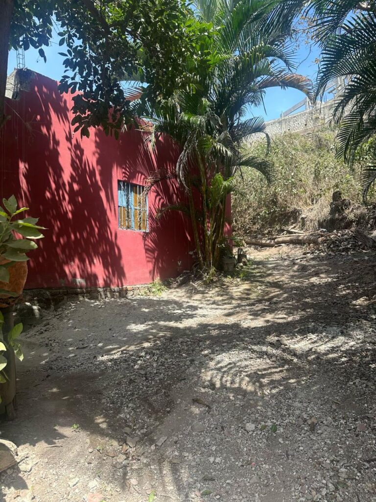 CASA DE LOS ARBOLES – photo 4