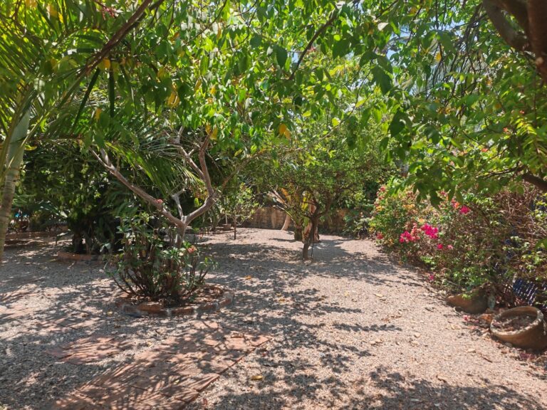 VILLA ALONDRA – photo 18