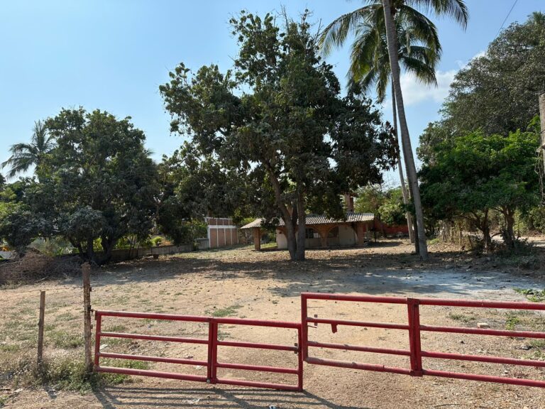 LOTE LOYA – photo 14