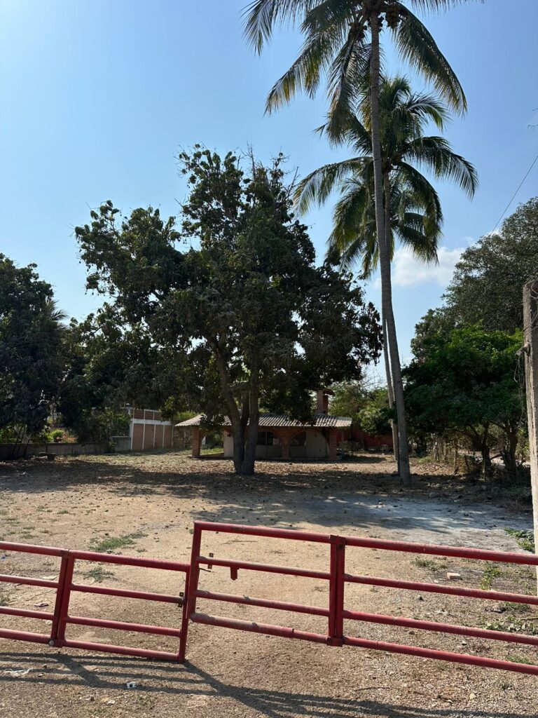 LOTE LOYA – photo 3