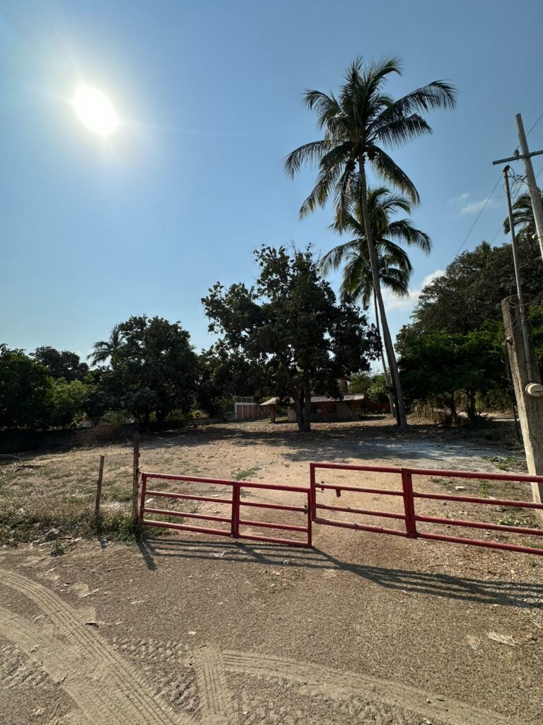 LOTE LOYA – photo 5