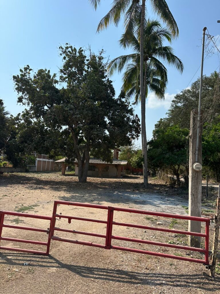 LOTE LOYA – photo 6