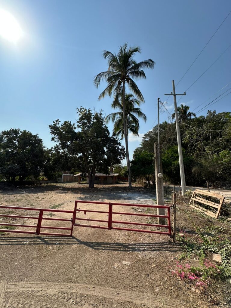 LOTE LOYA – photo 7