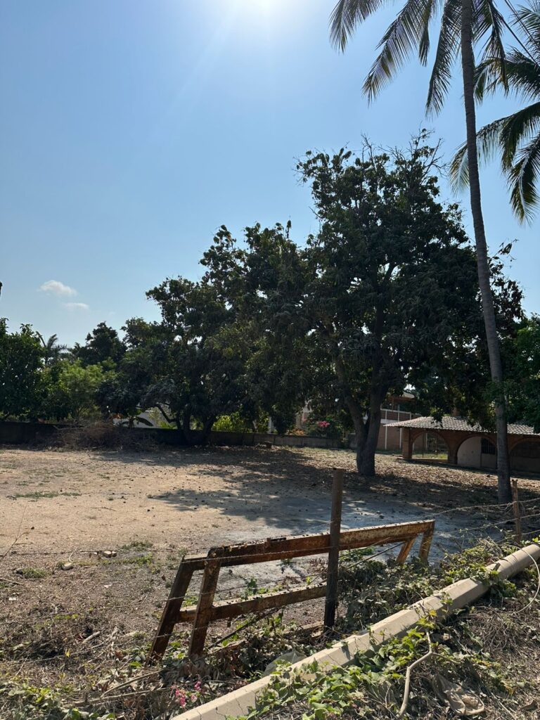 LOTE LOYA – photo 8