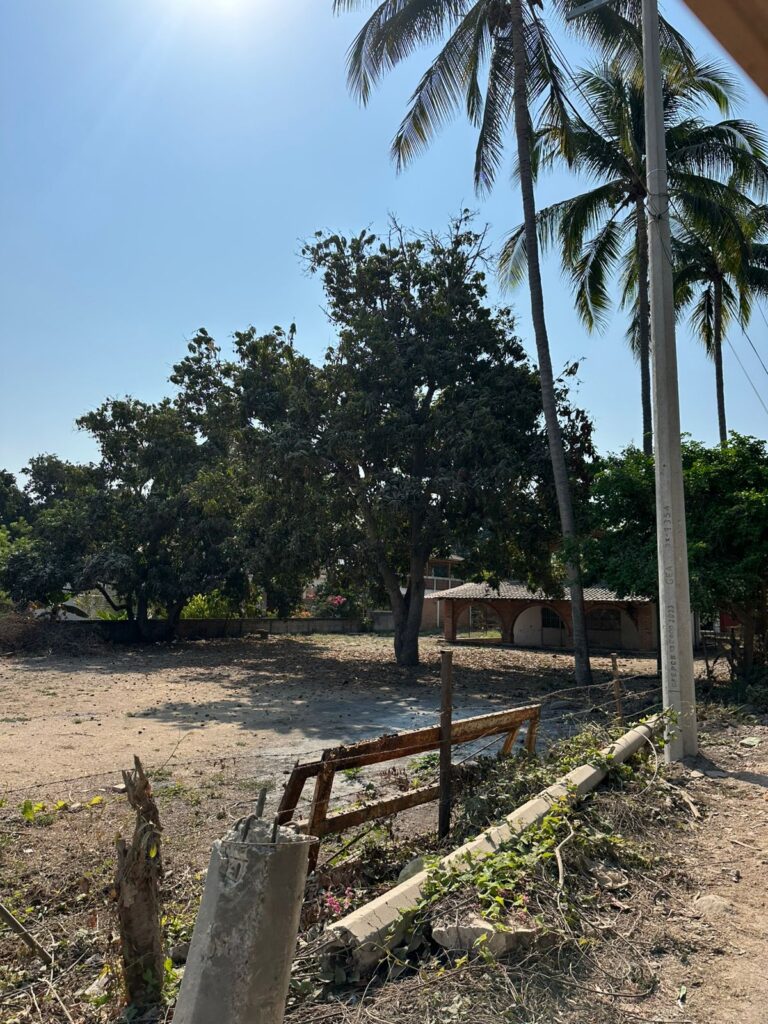 LOTE LOYA – photo 9