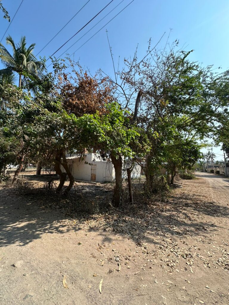 LOTE LOYA – photo 10