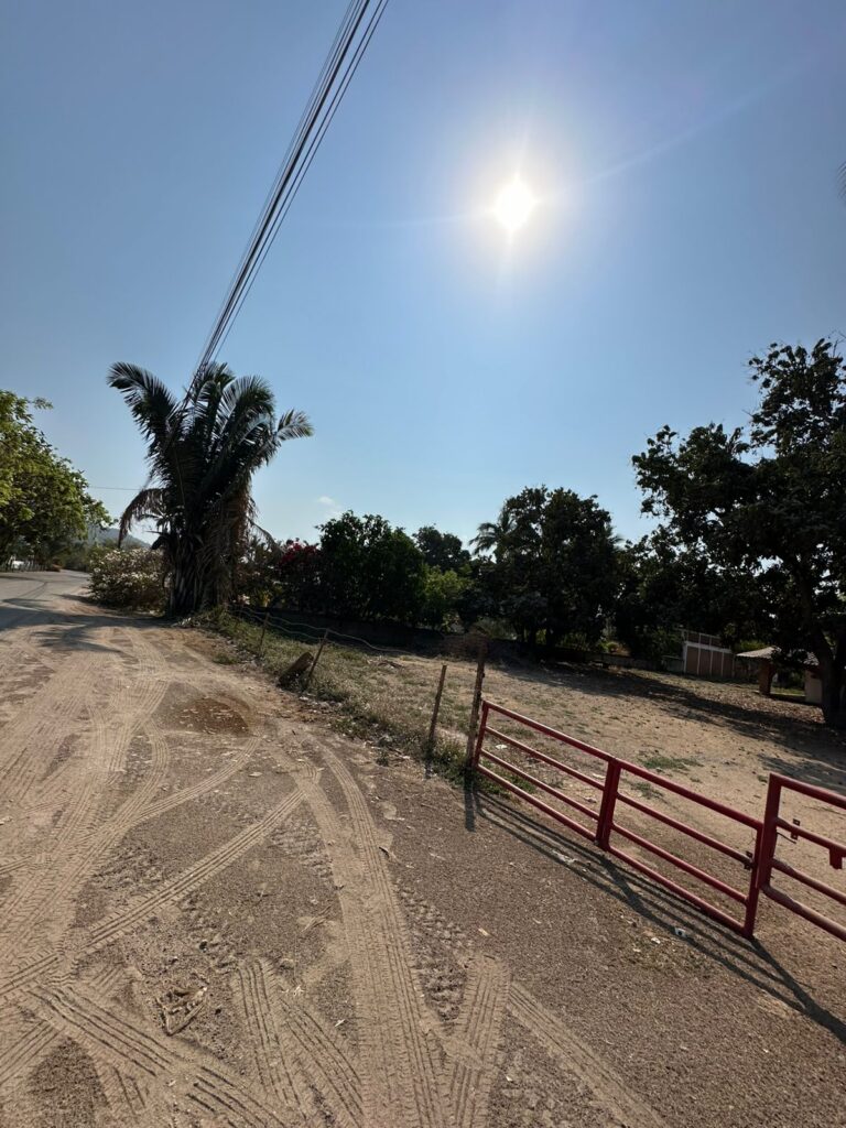 LOTE LOYA – photo 11