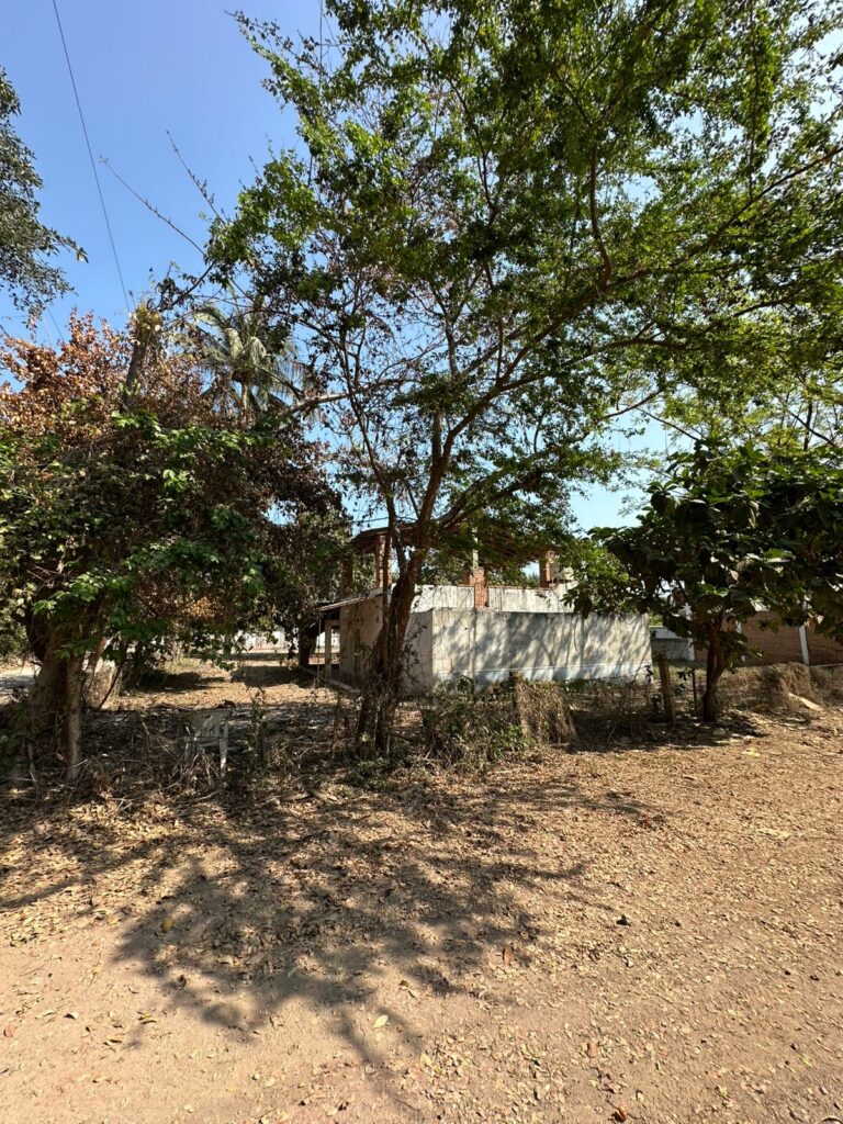 LOTE LOYA – photo 12
