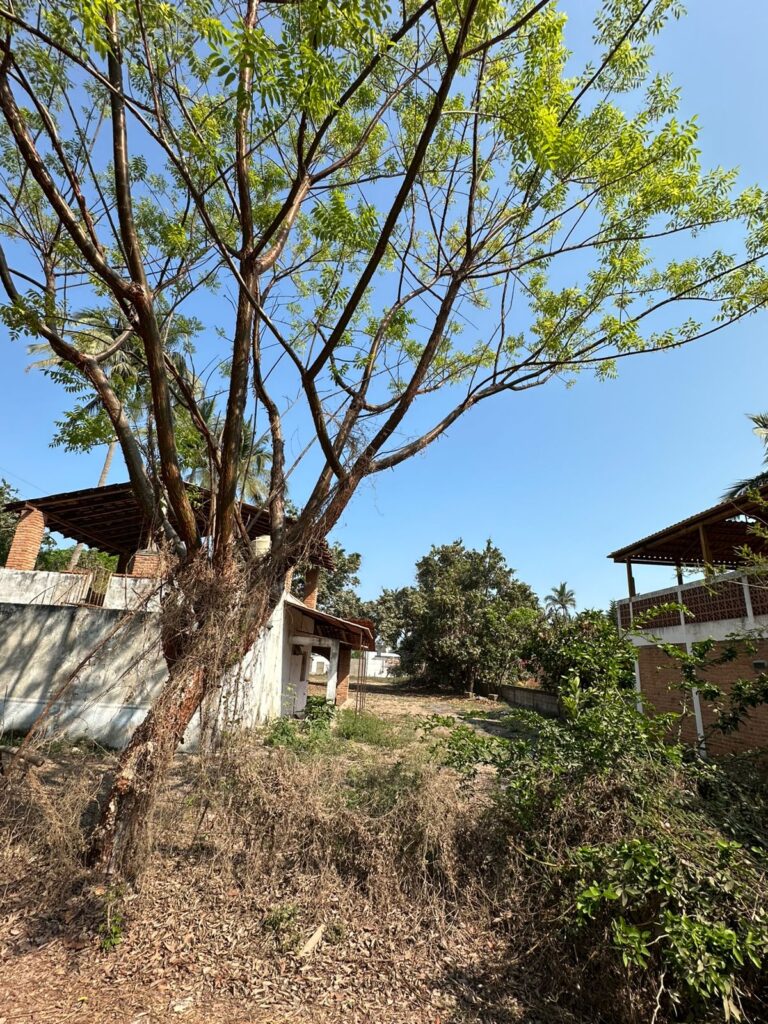 LOTE LOYA – photo 13