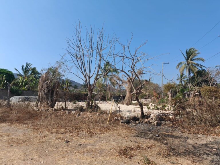 LOTE URSULO – photo 3
