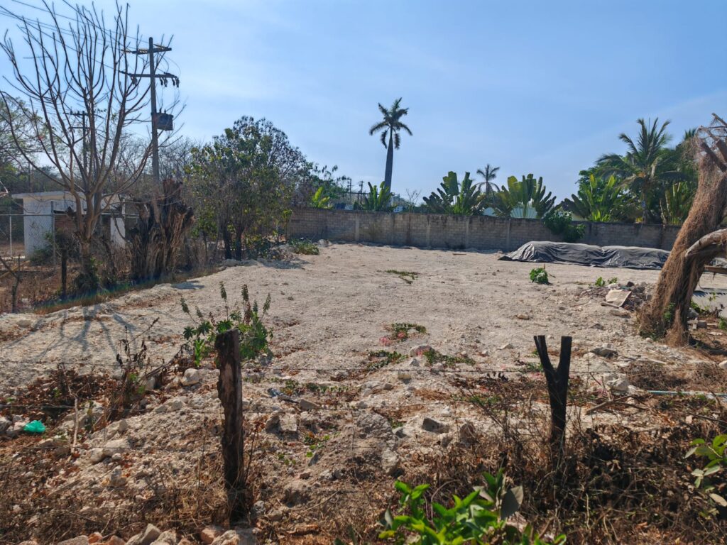 LOTE URSULO – photo 1