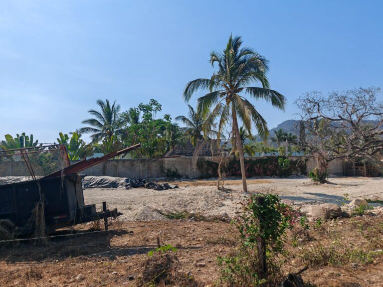 LOTE URSULO – photo 6